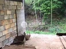 1000只散养鸡利润