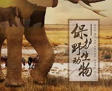 新野生动物保护法名录