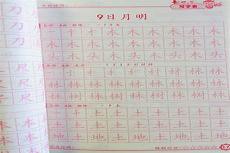 红字的写作目
