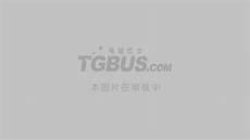 泰森肌肉变化图