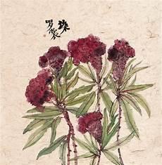 男人说此情只待成追忆