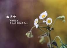 暖人心的早上好句子