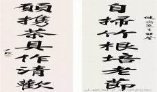 赘婿之王沈默苏婉